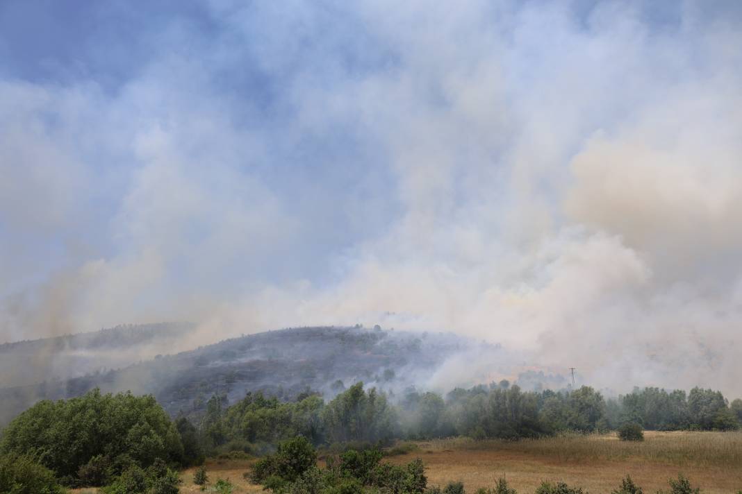 Elazığ'da orman yangını 1